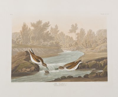 Illustration de 
