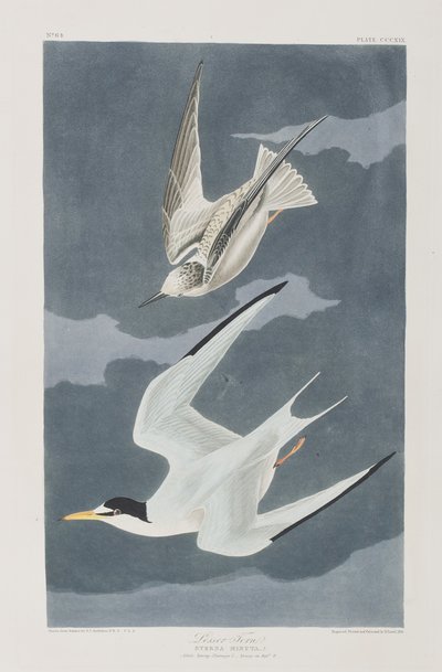 Illustration de 
