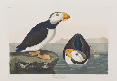 Illustration de 