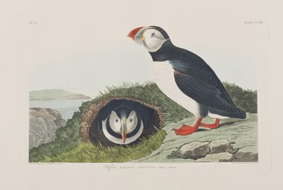 Illustration de 