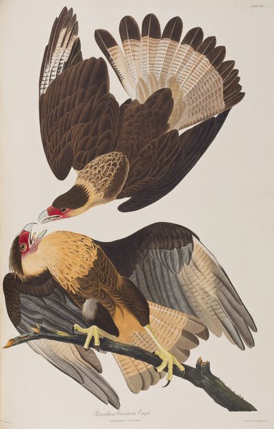 Illustration de 