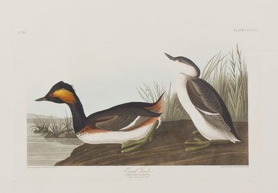 Illustration de 