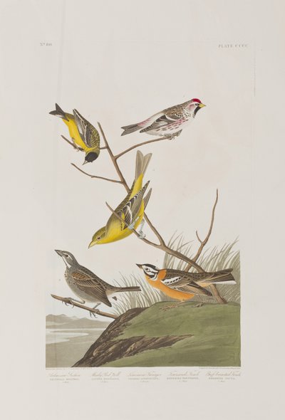 Illustration de 
