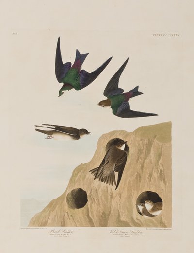 Illustration de 
