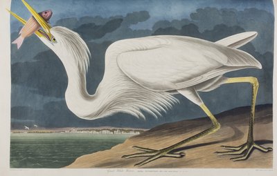 Illustration de 