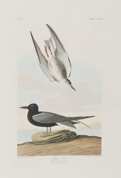 Illustration de 