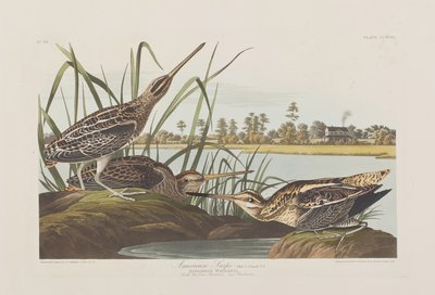 Illustration de 