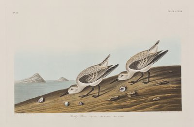 Illustration de 