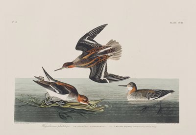 Illustration de 