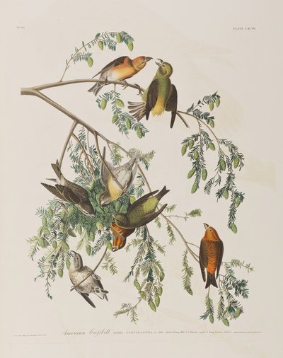 Illustration de 