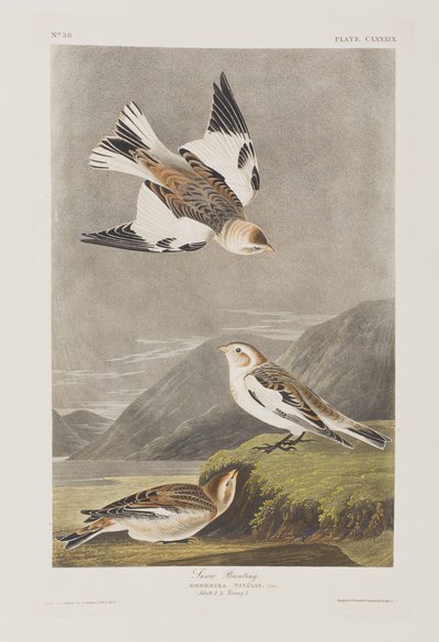 Illustration de 
