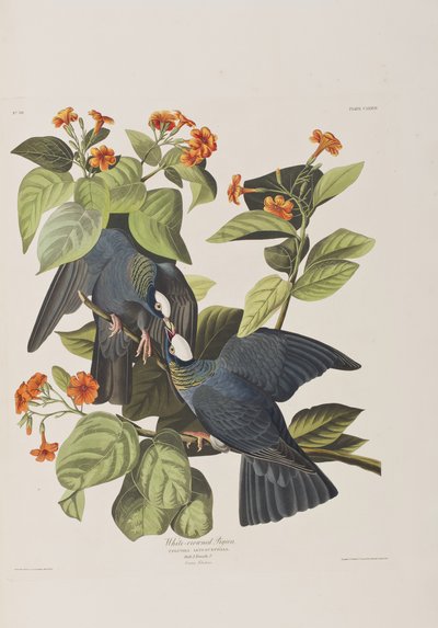 Illustration de 