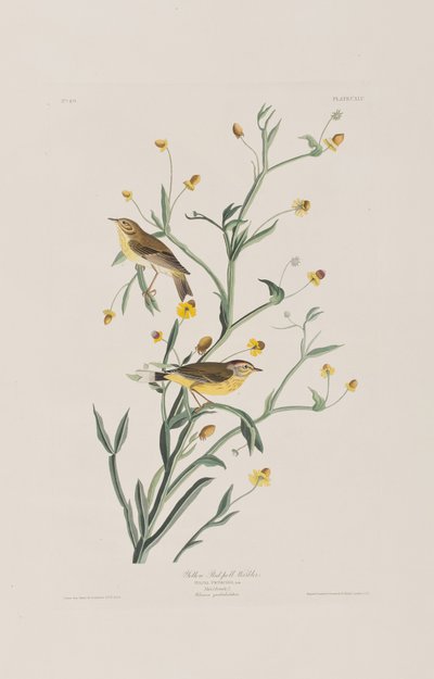 Illustration de 