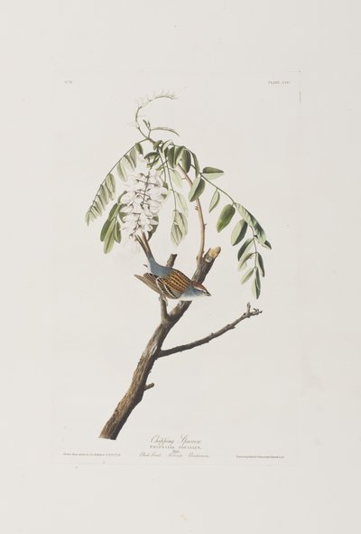 Illustration de 