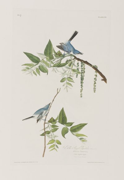 Illustration de 