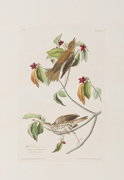 Illustration de 