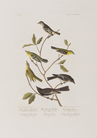 Illustration de 