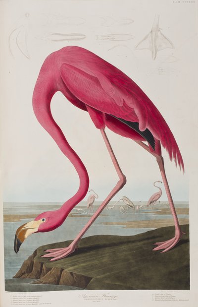 Illustration de 