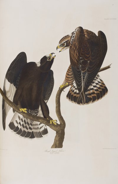 Illustration de 
