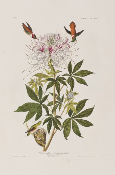 Illustration de 