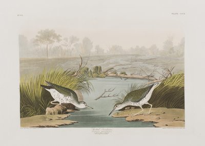 Illustration de 