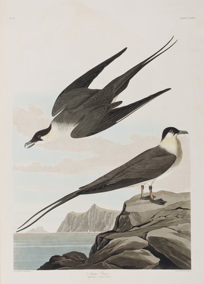 Illustration de 