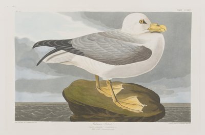 Illustration de 