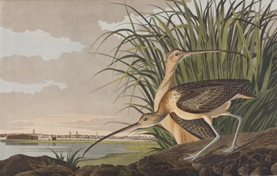 Illustration de 