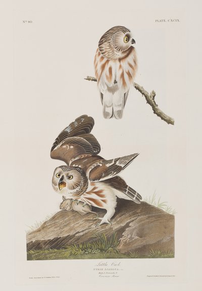 Illustration de 