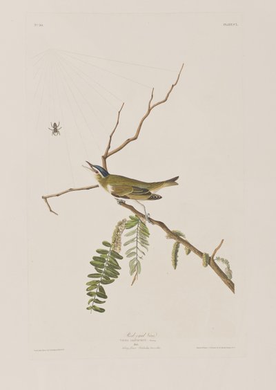 Illustration de 