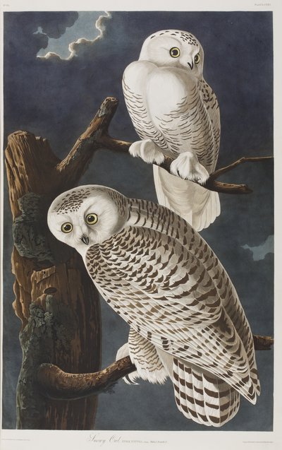 Illustration de 