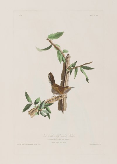 Illustration de 