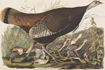 Illustration de 