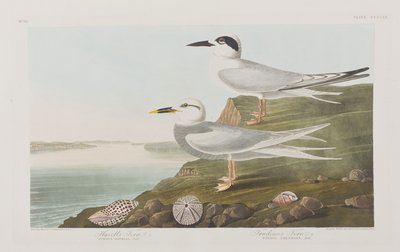 Illustration de 