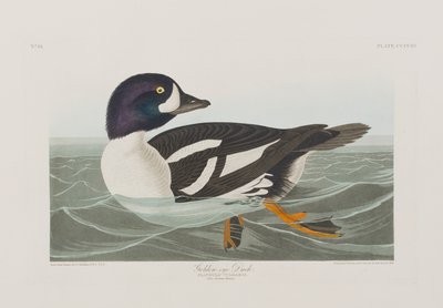 Illustration de 
