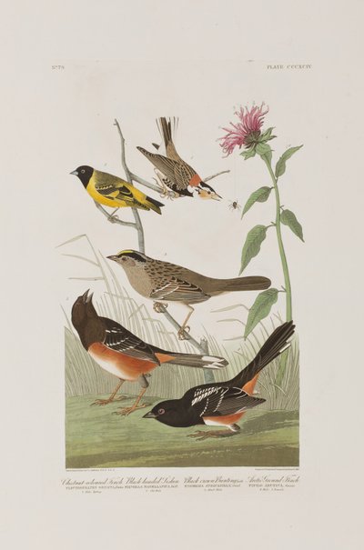 Illustration de 