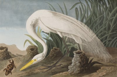 Illustration de 