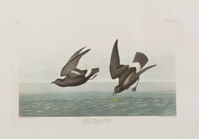 Illustration de 