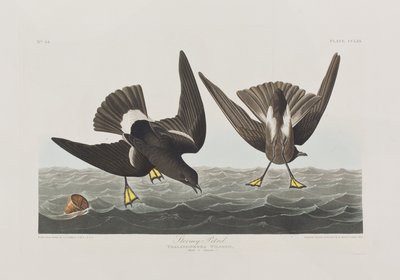 Illustration de 
