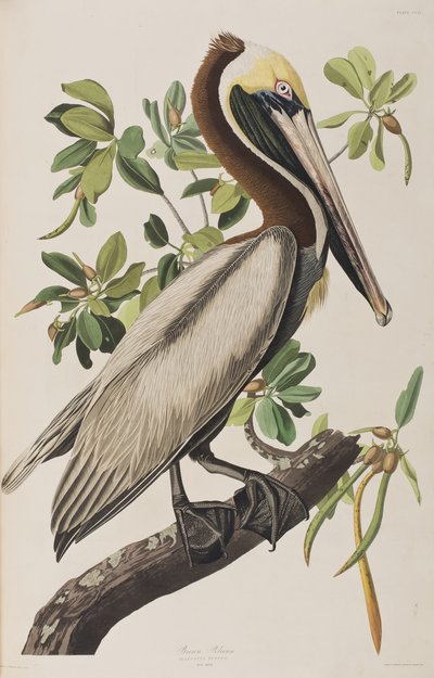 Illustration de 