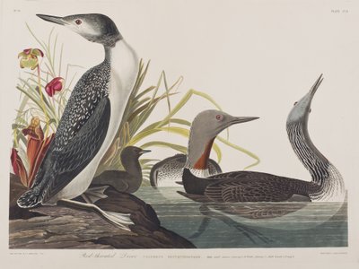 Illustration de 