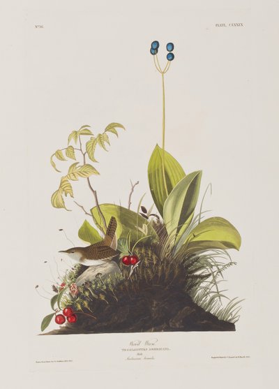 Illustration de 