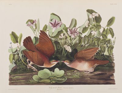 Illustration de 