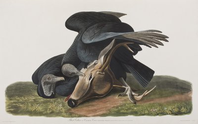 Illustration de 