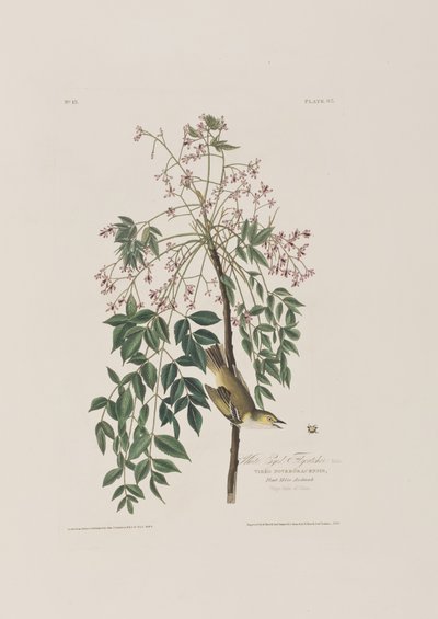 Illustration de 