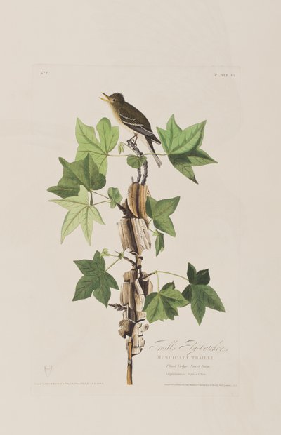 Illustration de 