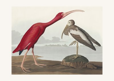  - John James Audubon