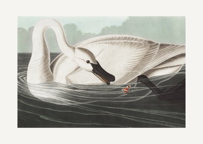  - John James Audubon