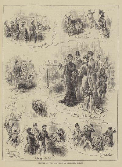 Croquis au salon des chèvres à Alexandra Palace - John Jellicoe
