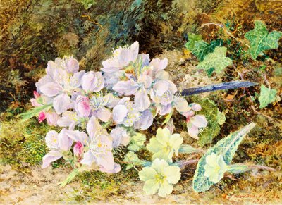 Fleurs d